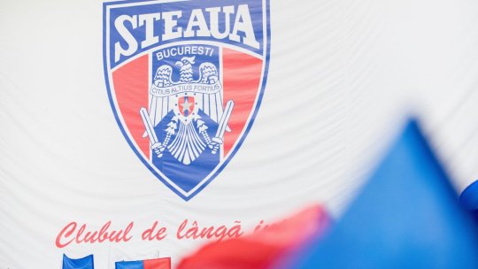 ”O firmă imensă” din România, în negocieri pentru preluarea Stelei: ”Am asistat la discuții”