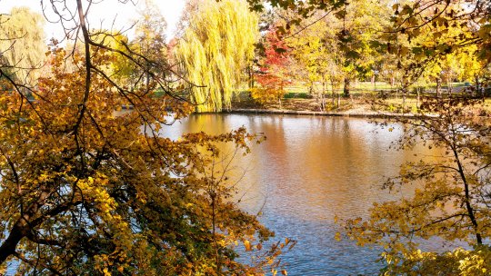 Fostul jucător al Stelei, revoltat de ce a descoperit în Parcul Herăstrău