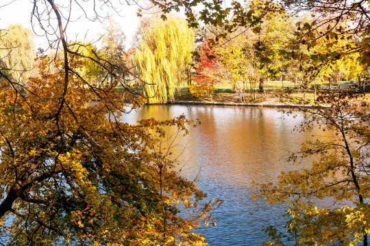 Fostul jucător al Stelei, revoltat de ce a descoperit în Parcul Herăstrău