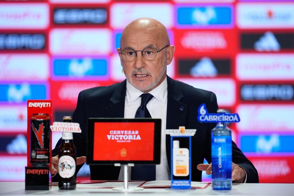 de la Fuente a câștigat EURO 2024