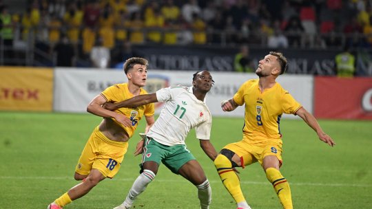 David Matei a dezvăluit ce i-a spus Gică Hagi înainte de a intra pe teren în România - Țara Galilor 2-1