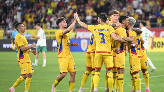 Tricolorul se operează imediat după România - Țara Galilor: ”Am probleme”