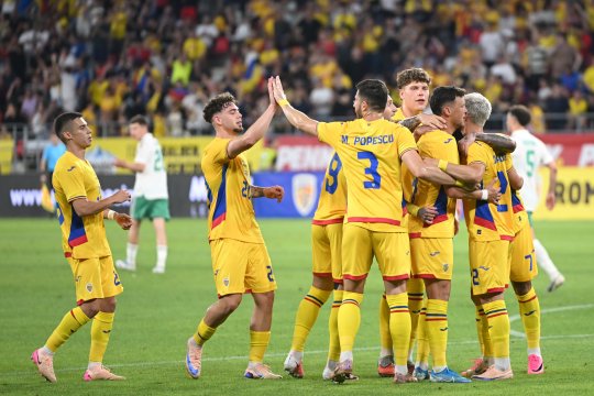 Tricolorul se operează imediat după România - Țara Galilor: ”Am probleme”