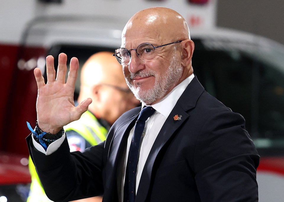 Luis de la Fuente, selecționerul Spaniei