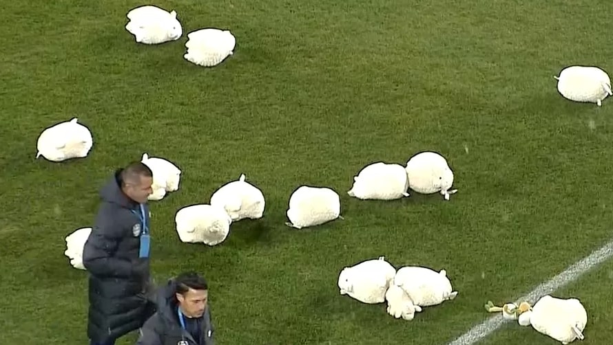 Fanii CFR-ului au aruncat cu oi de pluș înainte de meciul cu CFR