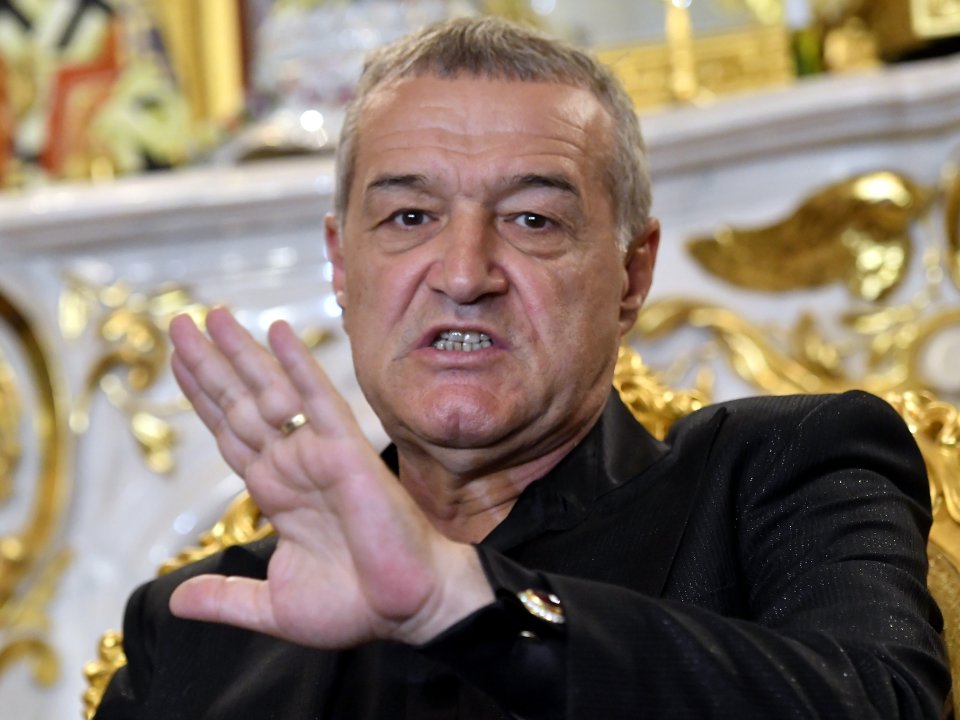 Gigi Becali vrea să ajungă în grupele Champions League cu FCSB