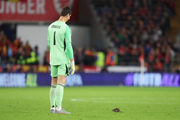 Thibaut Courtois, portar la Real Madrid